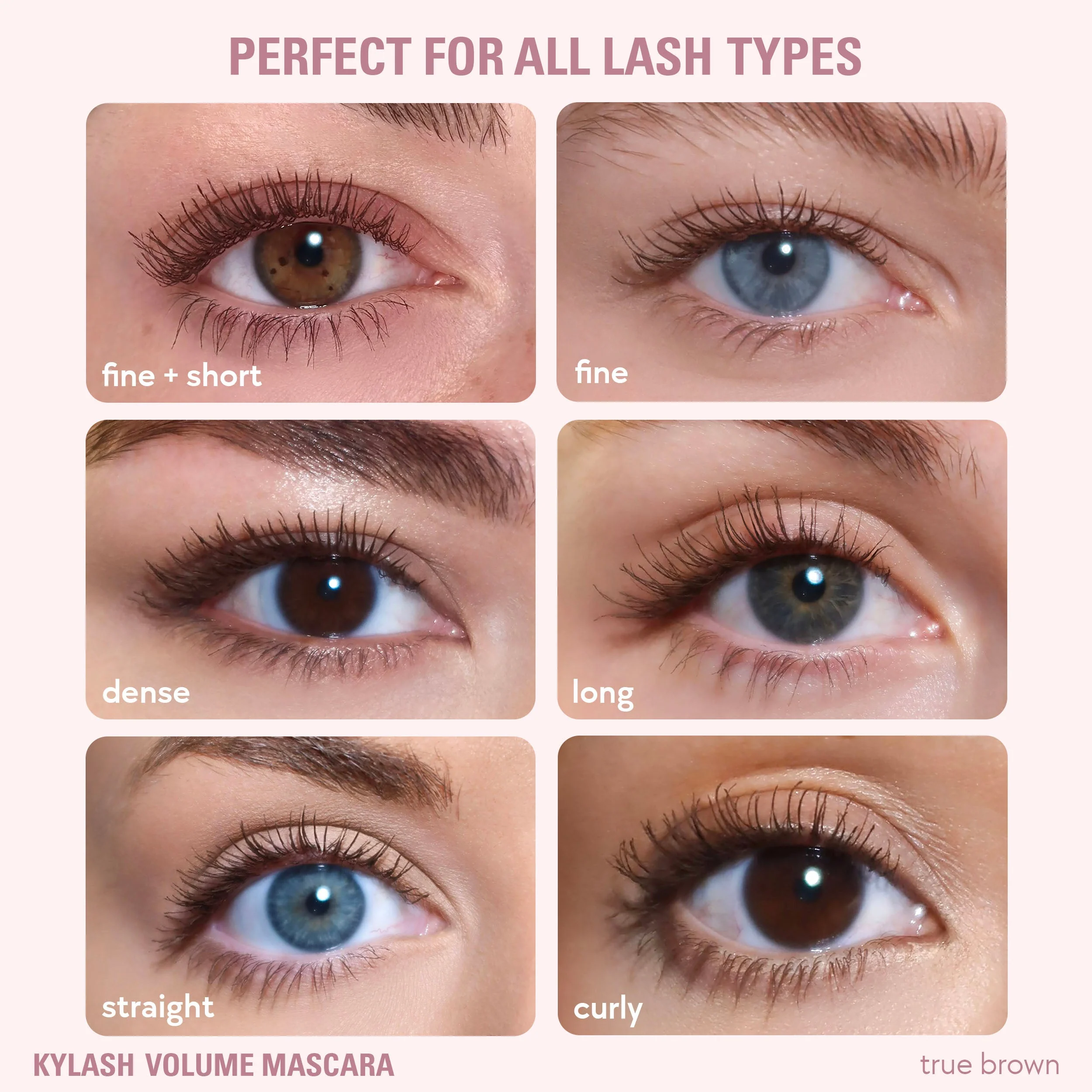 Eyeshadow Brush & Classic Matte Palette & Kylash Mascara Bundle - Image 4